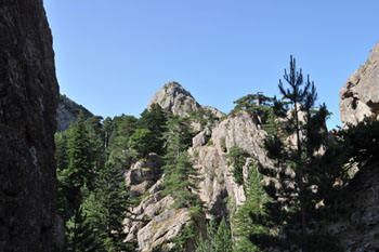 bavella