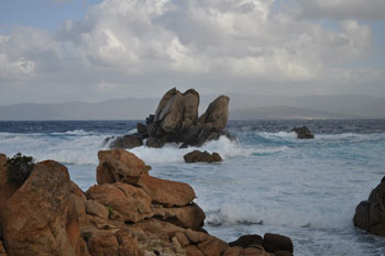 campomoro