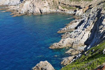 cote  calvi