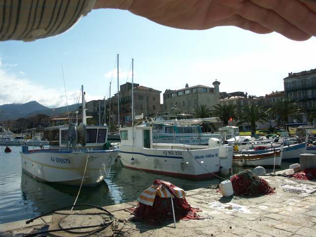 port3.jpg