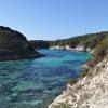 Bonifacio